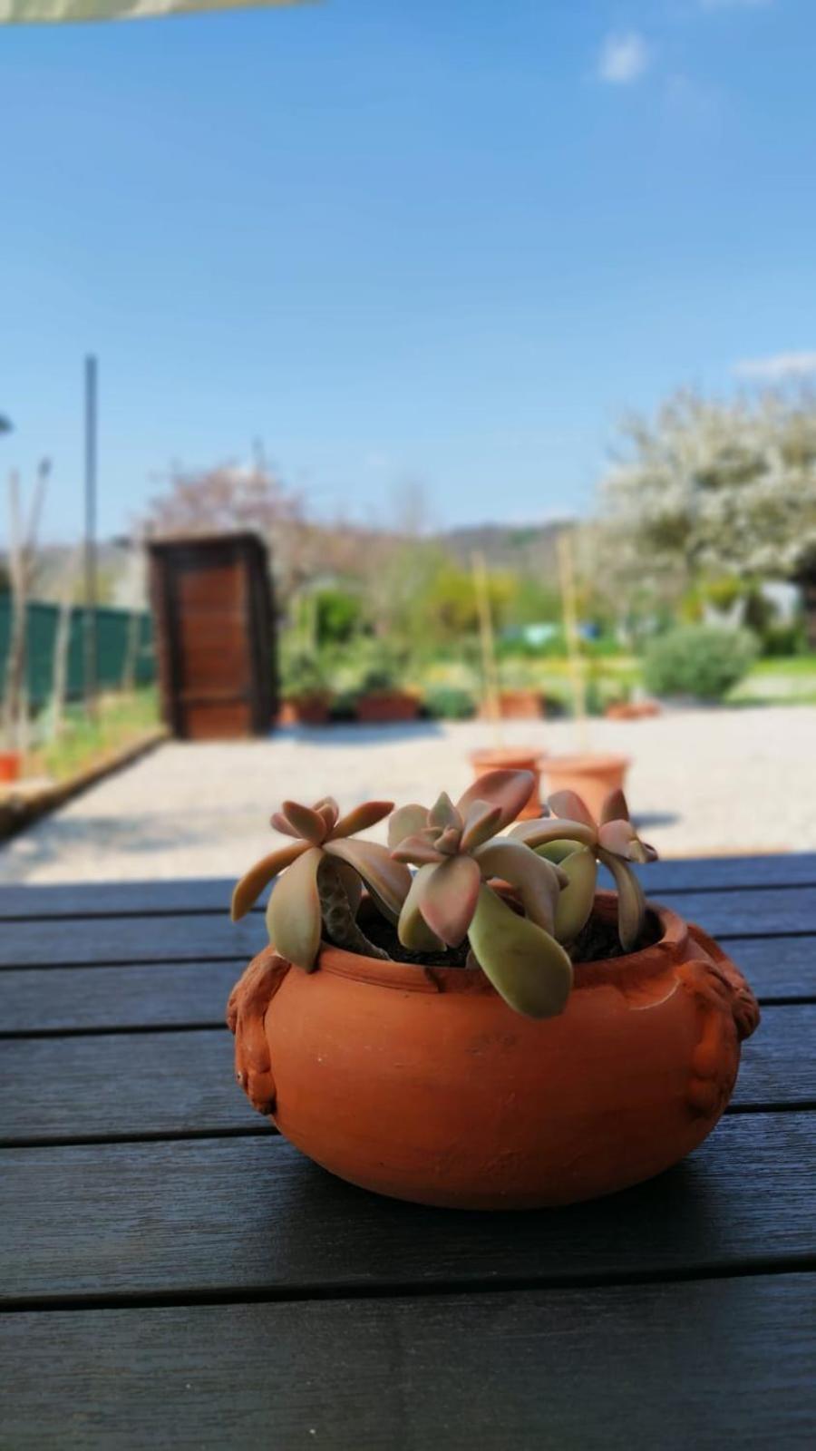 Bed And Breakfast Priscilla Volpago del Montello Εξωτερικό φωτογραφία