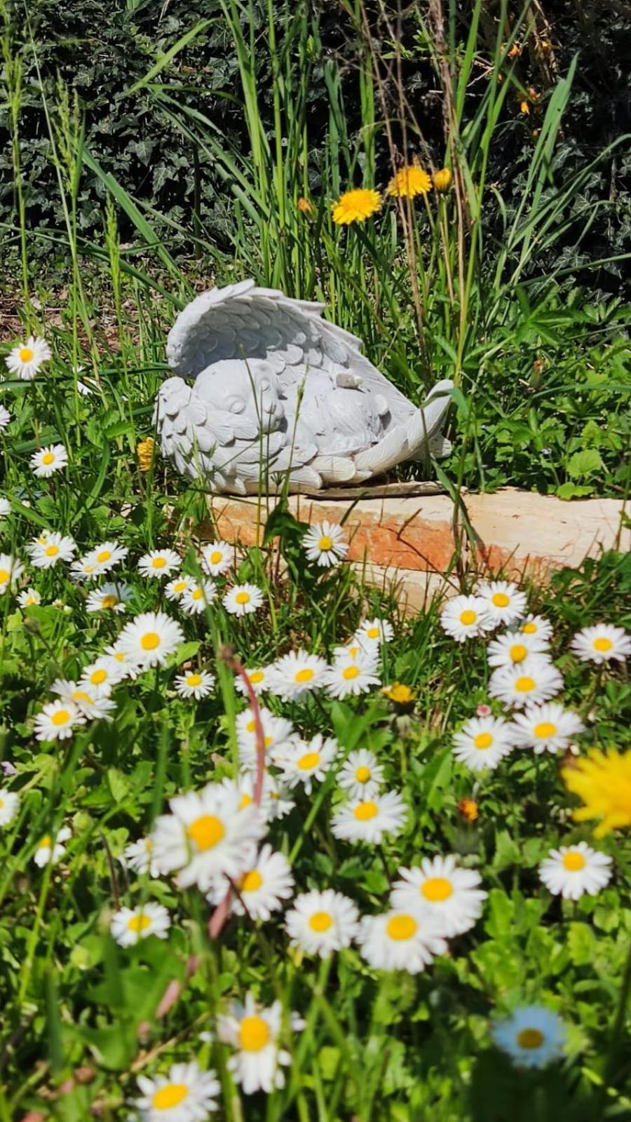 Bed And Breakfast Priscilla Volpago del Montello Εξωτερικό φωτογραφία