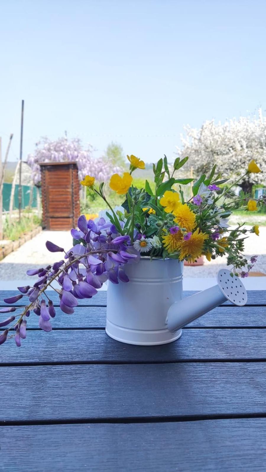 Bed And Breakfast Priscilla Volpago del Montello Εξωτερικό φωτογραφία
